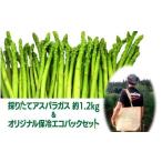 fu.... налог овощи вид спаржа Iwate префектура север сверху город 8 месяц средний . около ~ отправка предположительно лето .. длина спаржа примерно 1.2kg. оригинал термос eko задний aspala овощи сезон...