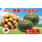野菜類 じゃがいも 男爵 かぼちゃ計約15kg