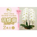花 胡蝶蘭 スタンダード 2本立 NPO法人Alon