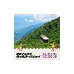 駒ヶ岳ロープウェイ 往復券 チケット 入場券