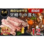 ショッピングふるさと納税 肉 ふるさと納税 宮崎県 都城市 宮崎牛中落ち1.2kg_MJ-2509_(都城市) 宮崎県産宮崎牛 A4ランク以上 牛中落ち肉 600g 2パック 牛中落ちカルビ ゲタ 中バラ 国産 牛…