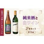 日本酒 純米酒 B9905峡南2町共通返礼品