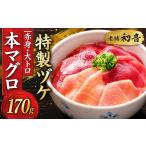 初音の本マグロ 赤身 大トロ 漬け丼