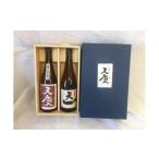 日本酒 純米吟醸酒 天一 天慶地酒セット