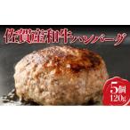佐賀産和牛 ハンバーグ 120g×5個