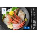 エビ セット 日本海の幸 昆布〆 甘エビセット
