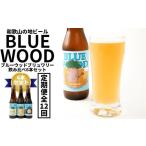 ビール 地ビール 定期便全12回 和歌山の地ビールブルーウッ…