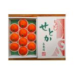 果物類 みかん 化粧箱 柑橘の大トロ ハウス