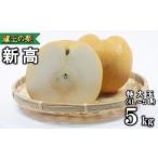 ふるさと納税 梨 宮城県 蔵王町 先行予約 蔵王の新高梨約5kg 特大玉(4〜5L程度) 04301-0141