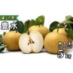 ふるさと納税 梨 宮城県 蔵王町 先行予約 蔵王の梨 豊水約5kg 特大玉(3〜5L程度) 04301-0142