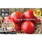 野菜類 トマト 先行受付 12月~6月毎月発送