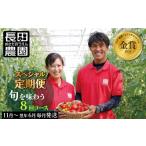 野菜類 トマト 先行受付 シーズンスタート11月から楽しめる…