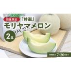 ふるさと納税 メロン メロン青肉 滋賀県 守山市 数量限定 7月〜8月中旬お届け 「特選」モリヤマメロン 2玉