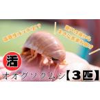 魚貝類 テレビで取り上げられました 深海王国からお届けする