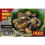 ふるさと納税 アワビ・ホタテ・他 大分県 佐伯市 天然 トコブシ (約900g) 鮮魚 魚介 貝 トコブシ とこぶし 酒蒸し 網焼き バター焼き バーベキュー 獲れたて …