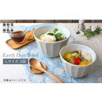 食器 グラス 茶碗 波佐見焼 アース DON ボウル