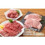 牛肉 ステーキ 宮崎牛キングセット 約2.6kg