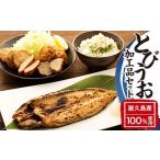 干物 漁協直営 屋久島産 とびうお加工品セット