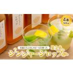 加工品等 屋久島ジンジャーシロップ 特大 500ml