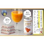 果汁飲料 みかん 屋久島たんかんジュース 190ml×30本