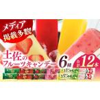 菓子 アイス 土佐のフルーツキャンデー 6種セット 各2本