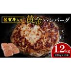 ふるさと納税 惣菜・レトルト 冷凍 佐賀県 上峰町  佐賀牛入り 数量限定 熟練の味 “黄金ハンバーグ” 120g×10個 1200g　A-76