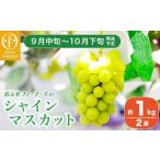ショッピングふるさと納税 シャインマスカット ふるさと納税 ぶどう マスカット 長野県 小布施町 シャインマスカット 約1kg 2房 ［おぶせファーマーズ］ 果物 フルーツ ぶどう 葡萄 数量限定 先行予約 長野 …
