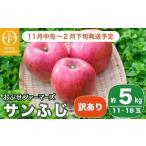 ふるさと納税 りんご 長野県 小布施町  訳あり サンふじ 約5kg 11〜18玉［おぶせファーマーズ］ 不揃い 規格外 家庭用 りんご 林檎 リンゴ 果物 フルーツ ふじ…