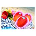 ショッピングふるさと納税 マンゴー ふるさと納税 マンゴー 鹿児島県 徳之島町 214 先行予約 徳之島センチュリー果樹園の完熟マンゴー（1kg）（2玉〜3玉） ( マンゴー フルーツ 果物 完熟 無加温 …