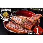 ふるさと納税 うなぎ 鹿児島県 志布志市 楠田の極うなぎ 蒲焼き 1尾(230g以上) a3-184 通常配送 当月〜翌月末までに配送