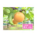 ふるさと納税 梨 千葉県 四街道市 豊水 約3kg / 岸野梨園 / 梨 なし 果物