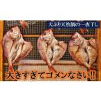 干物 大きな天然鯛の一夜干し 3尾で1.2kg以上_1061R