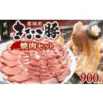 豚肉 セット きなこ豚 焼肉900gセット
