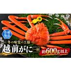 カニ ずわいガニ 越前がに オス ずわいがに 600g以上