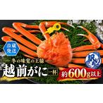 カニ ずわいガニ 越前がに オス 訳あり ずわいがに 600g以上
