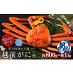ふるさと納税 カニ ずわいガニ 福井県 越前市  2026年1月発送・月指定可 越前がに（オス）「ずわいがに」大サイズ（800g-1kg） 訳あり 1杯 月指定可 越前がに…