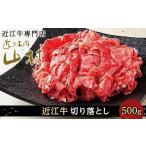 ふるさと納税 牛肉 滋賀県 甲賀市 近江牛 切り落とし 500g