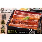 ふるさと納税 うなぎ 福岡県 福智町 U02-20 国産うなぎ使用 老舗たちばな 国産うなぎ蒲焼 超特大 (合計 250g以上) 2尾 鰻 うなぎ 南九州産うなぎ 鰻 ウナギ 国…