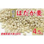 はだか麦 900g