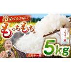 ふるさと納税 米 ミルキークイーン 長崎県 五島市 五島産ミルキークイーン5kg PBN003 ミルキークイーン みるきーくいーん 5キロ 5きろ 5キロ 米 白米 精米 お…