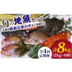 ふるさと納税 旬の鮮魚等 長崎県 五島市  4回定期便 旬の地魚セット2kg（エラ／内臓処理済） PBJ002 地魚 魚 お魚 冷蔵 生もの 届くまでのお楽しみ 地魚セット…