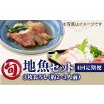 旬の鮮魚等 4回定期便 旬の地魚セット2-3人前