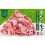 牛肉 小分けで便利 宮崎ハーブ牛 牛すじ 200g×6パック