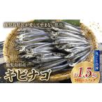 旬の鮮魚等 産キビナゴ丸ごと冷凍1.5kg