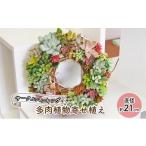 花 苗木 多肉 寄せ植え サークルハンキング