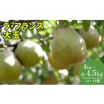 ふるさと納税 梨 宮城県 蔵王町 先行予約 厳選 おいしいラ・フランス約4kg(14〜18個) 蔵王産 04301-0151