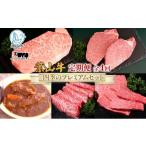 牛肉 セット 全4回定期便 冨士屋牛肉店 葉山牛