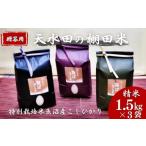 ふるさと納税 米 コシ