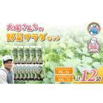 野菜類 ホワイトミニセルリー 5袋