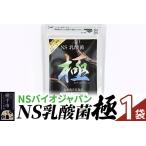 健康食品 NS乳酸菌 極 特別パッケージ 1パック